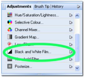 Adjustments tab