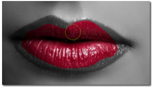 Using the Brush tool