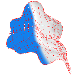 Adding color to the mesh