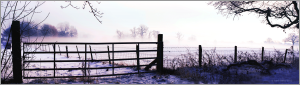 Winter Landscape 2012