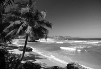
 Converting to black and white